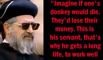 http://wpc2.narod.ru/01/ovadia_yosef_donkey_1.jpg