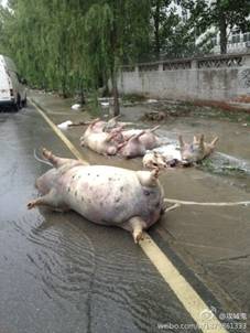http://wpc2.narod.ru/02/china/flood_3.jpg